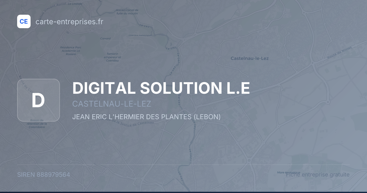DIGITAL SOLUTION L.E — 888979564 — fiche entreprise