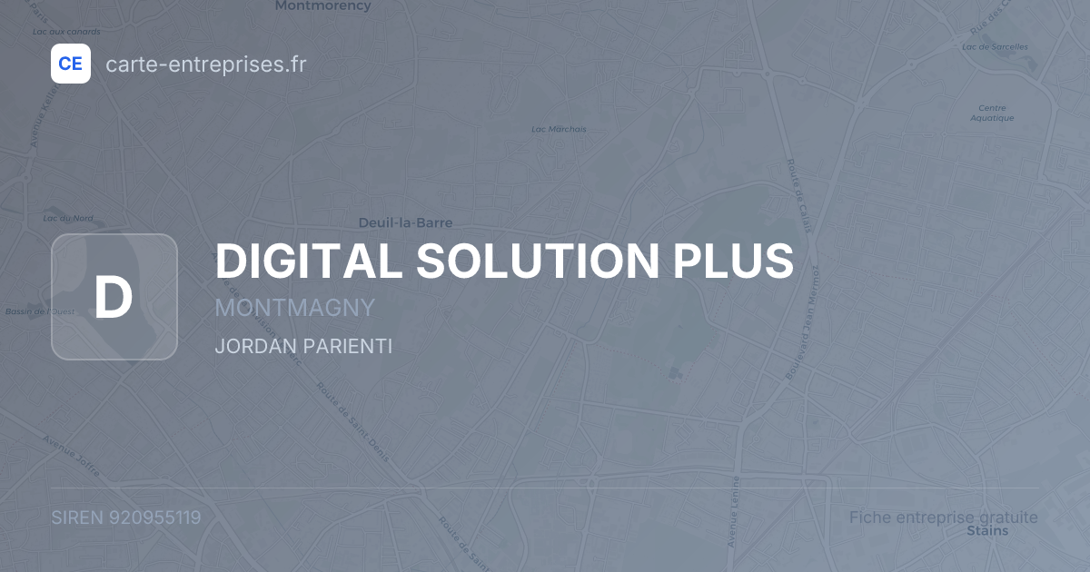 DIGITAL SOLUTION PLUS — 920955119 — fiche entreprise