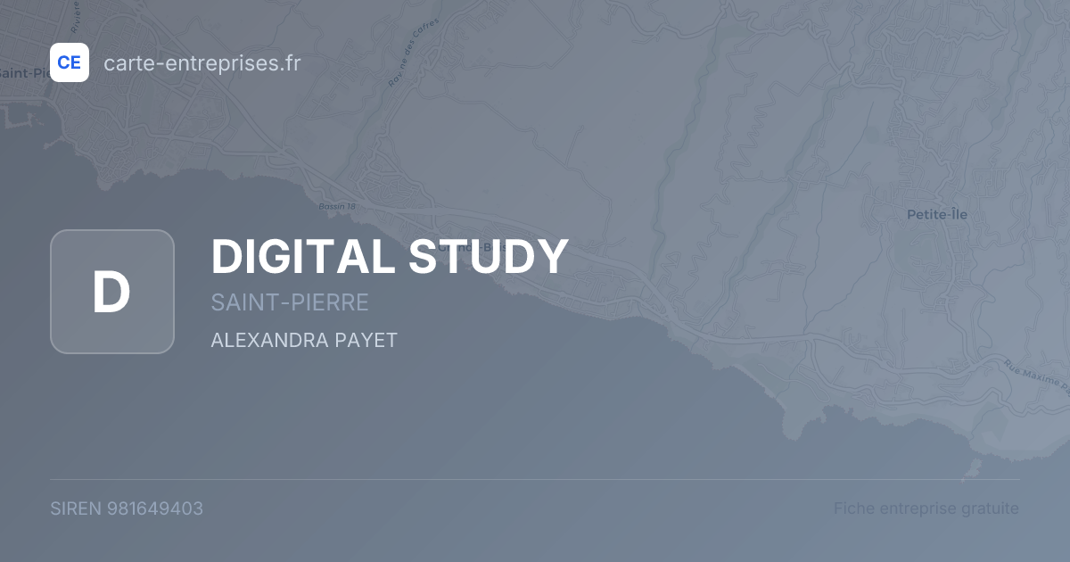 DIGITAL STUDY — 981649403 — fiche entreprise