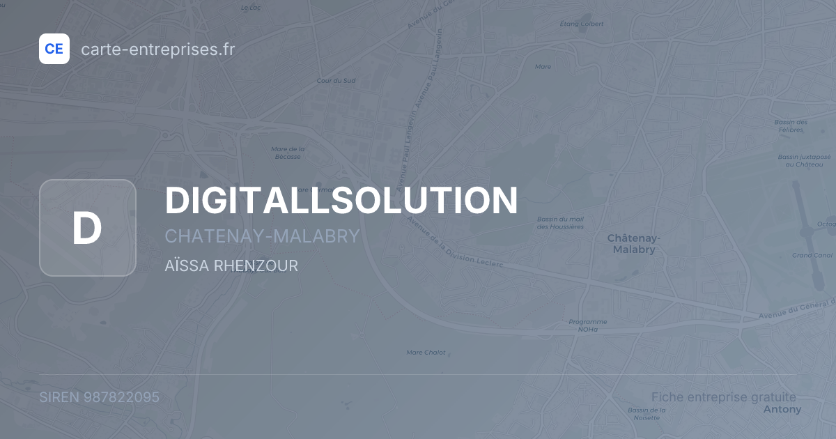 DIGITALLSOLUTION — 987822095 — fiche entreprise