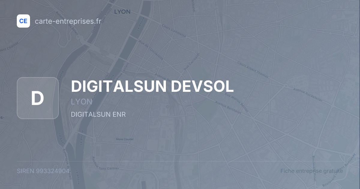 DIGITALSUN DEVSOL — 993324904 — fiche entreprise