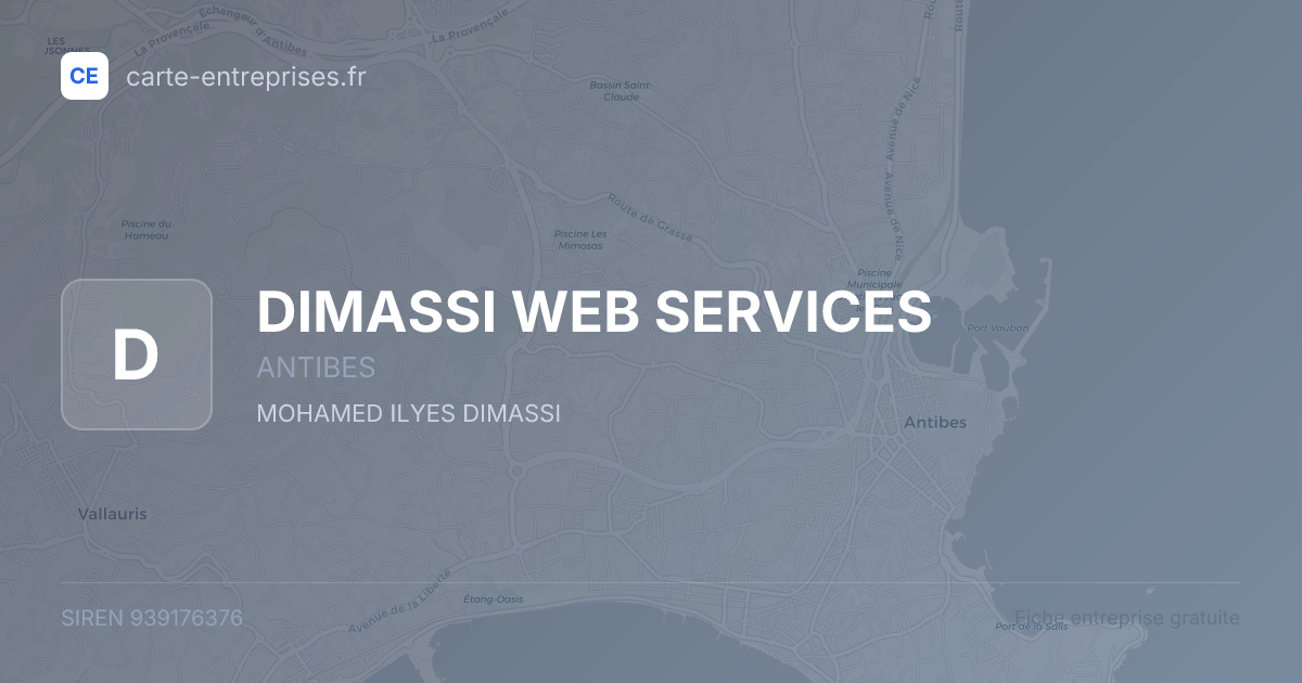DIMASSI WEB SERVICES — 939176376 — fiche entreprise