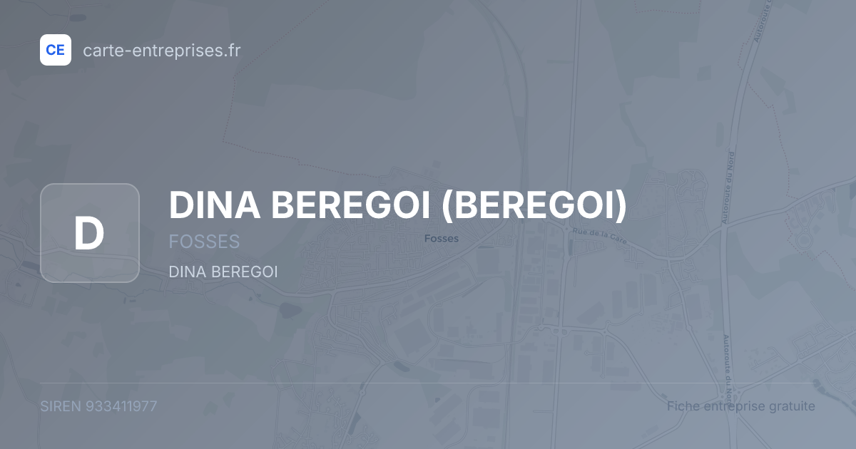 DINA BEREGOI (BEREGOI) — 933411977 — fiche entreprise