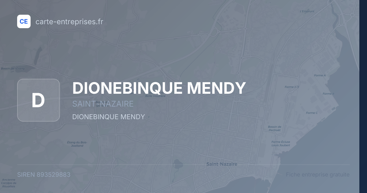 DIONEBINQUE MENDY — 893529883 — fiche entreprise