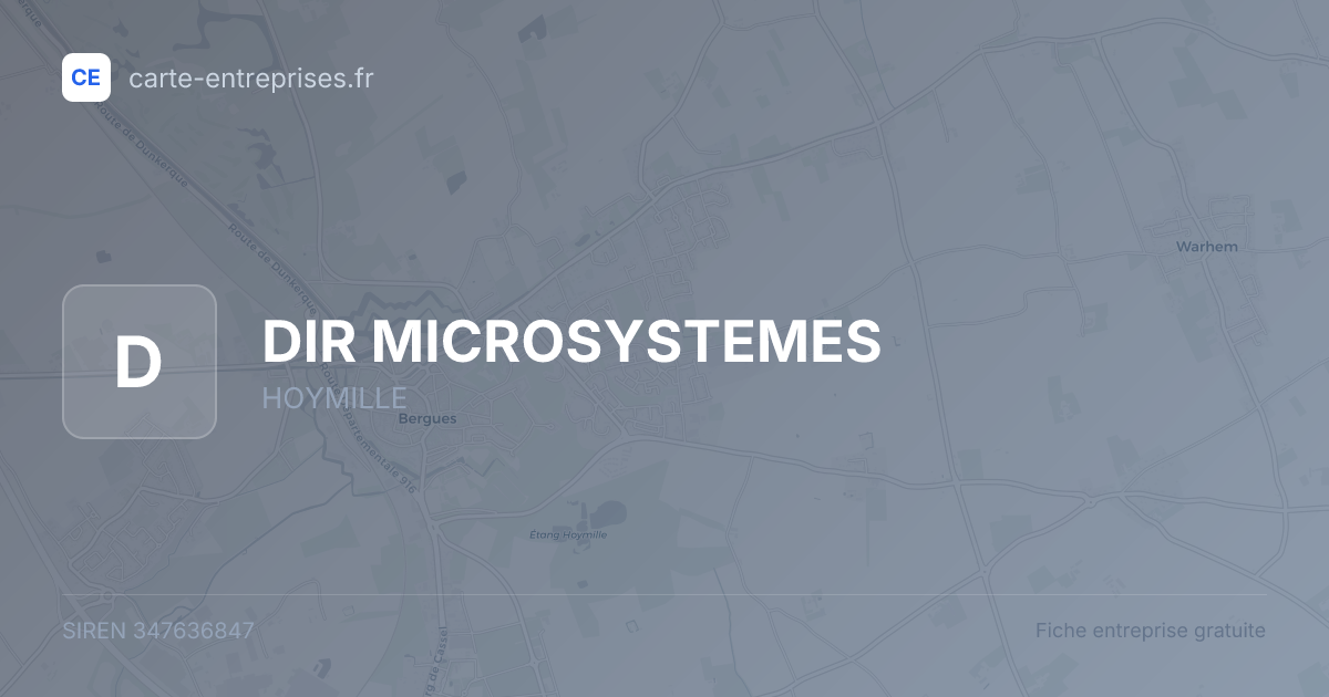 DIR MICROSYSTEMES — 347636847 — fiche entreprise