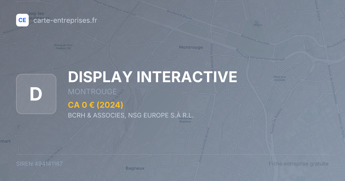 DISPLAY INTERACTIVE — 494141187 — fiche entreprise