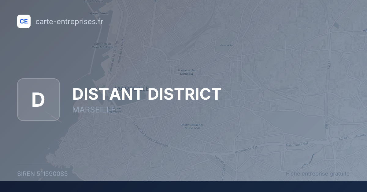 DISTANT DISTRICT — 511590085 — fiche entreprise