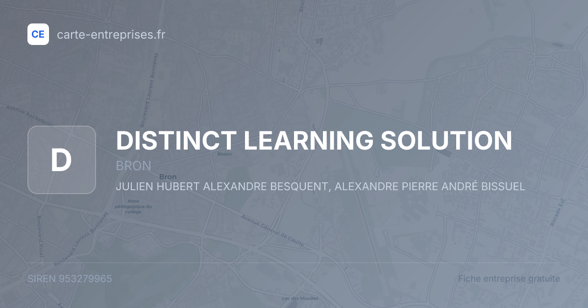 DISTINCT LEARNING SOLUTION — 953279965 — fiche entreprise