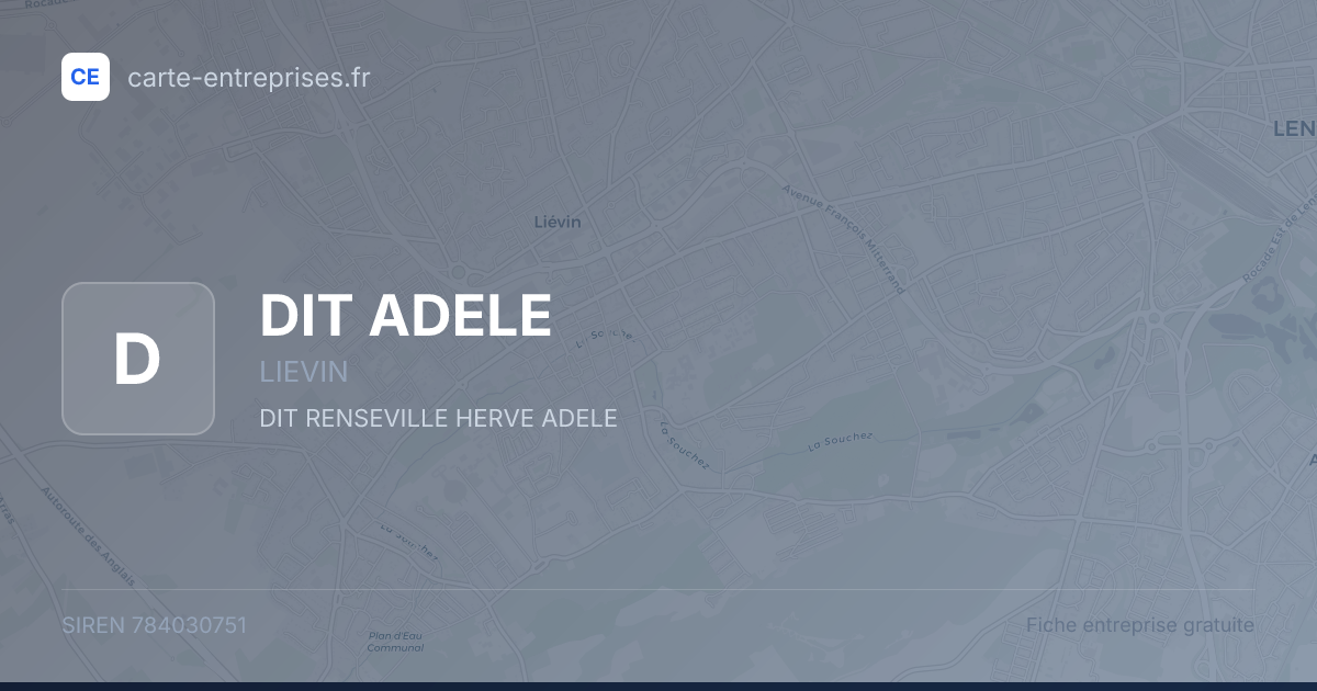 DIT ADELE — 784030751 — fiche entreprise