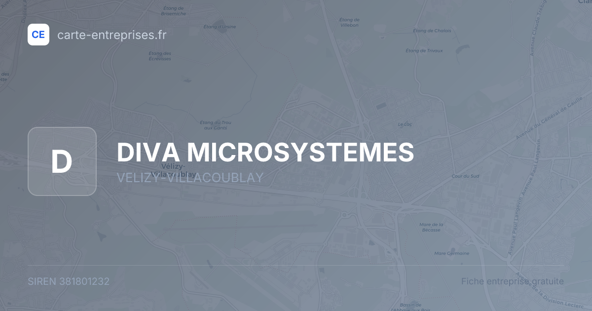 DIVA MICROSYSTEMES — 381801232 — fiche entreprise