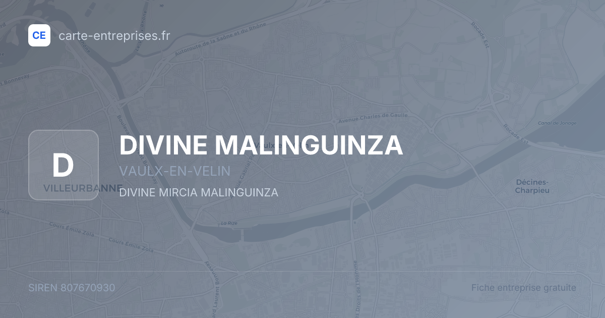 DIVINE MALINGUINZA — 807670930 — fiche entreprise