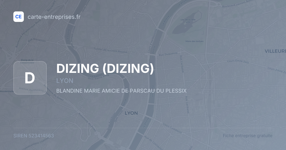 DIZING — 523414563 — fiche entreprise