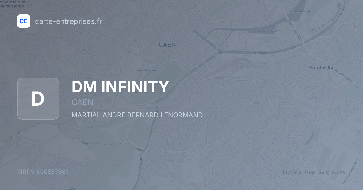 DM INFINITY — 809657661 — fiche entreprise
