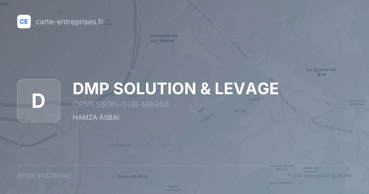 DMP SOLUTION & LEVAGE — 942283342 — fiche entreprise