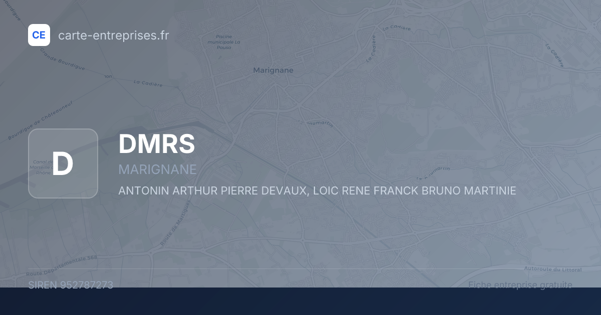 DMRS — 952787273 — fiche entreprise