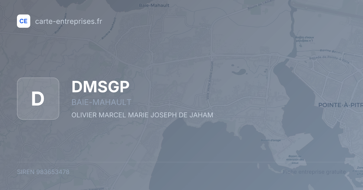 DMSGP — 983653478 — fiche entreprise