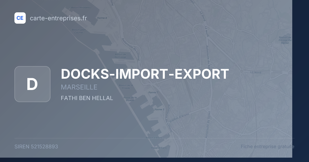 DOCKS-IMPORT-EXPORT — 521528893 — fiche entreprise