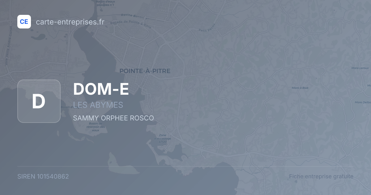 DOM-E — 101540862 — fiche entreprise