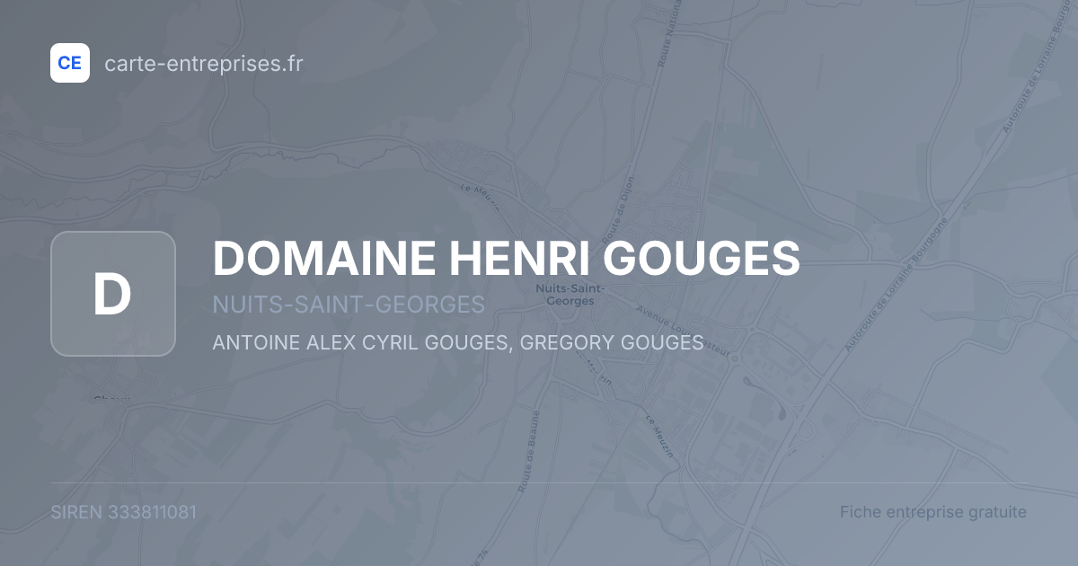 DOMAINE HENRI GOUGES — 333811081 — fiche entreprise