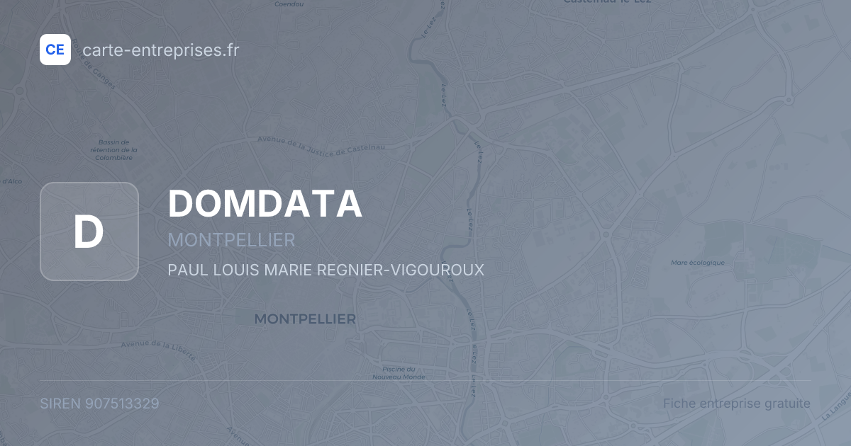 DOMDATA — 907513329 — fiche entreprise