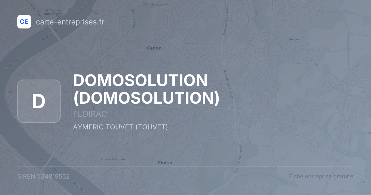DOMOSOLUTION — 534819552 — fiche entreprise
