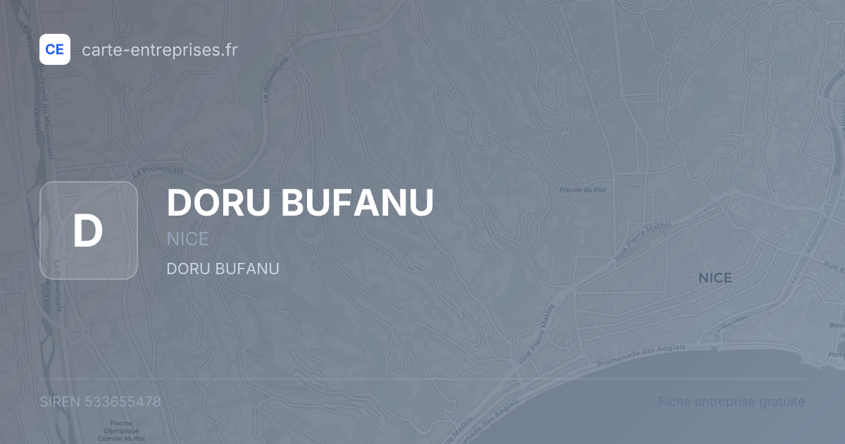 DORU BUFANU — 533655478 — fiche entreprise