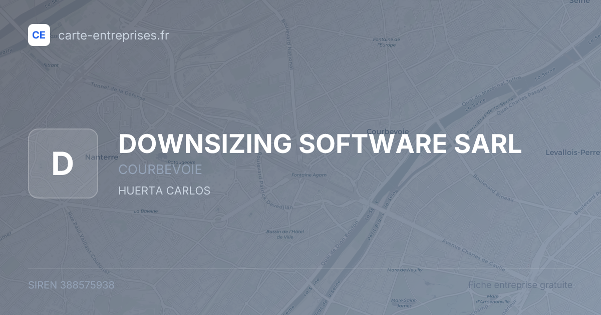 DOWNSIZING SOFTWARE SARL — 388575938 — fiche entreprise