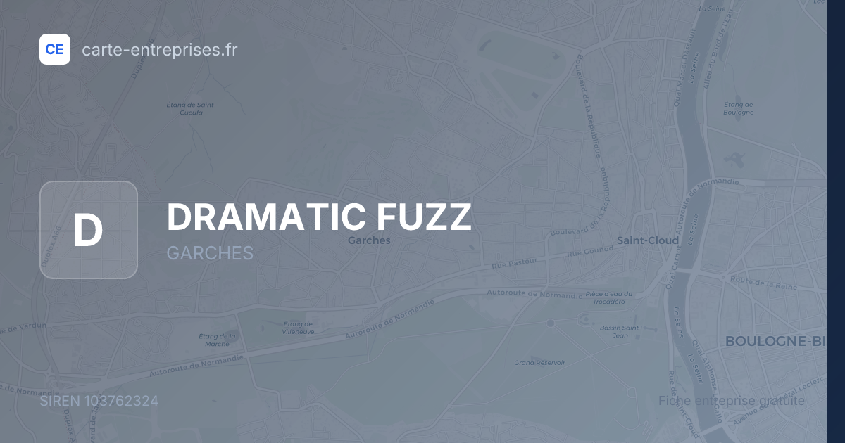 DRAMATIC FUZZ — 103762324 — fiche entreprise
