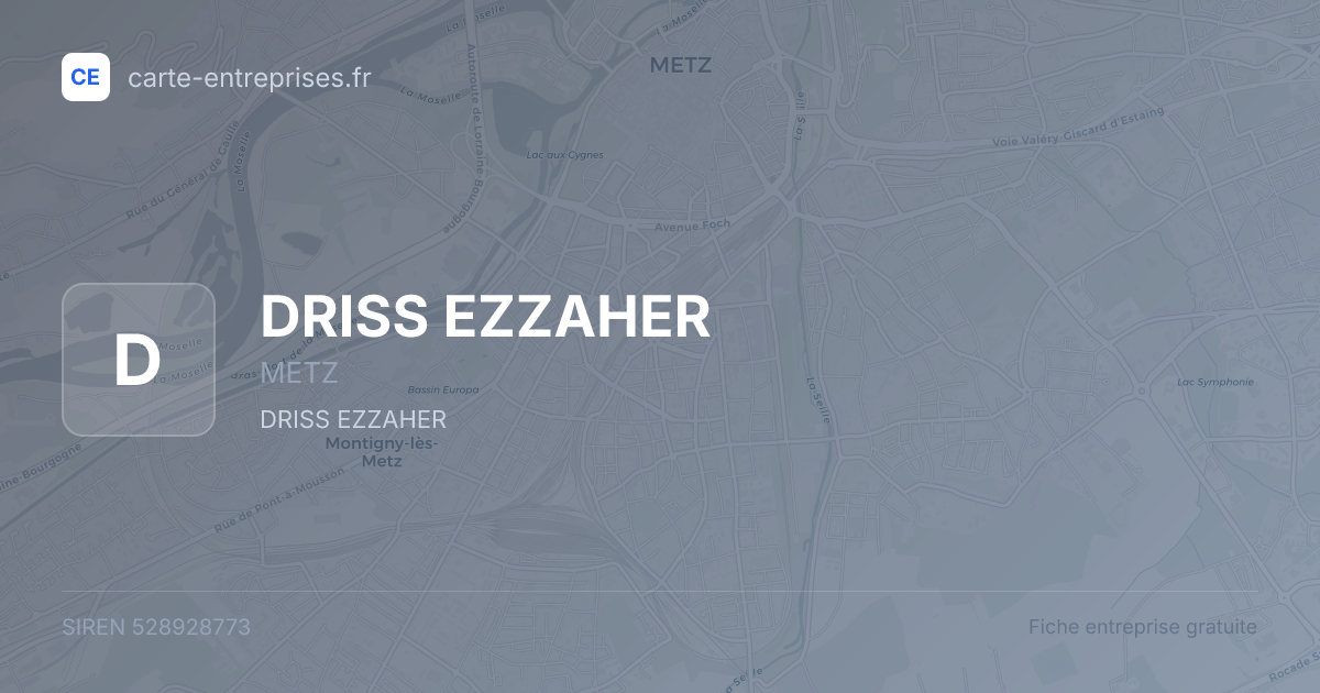 DRISS EZZAHER — 528928773 — fiche entreprise