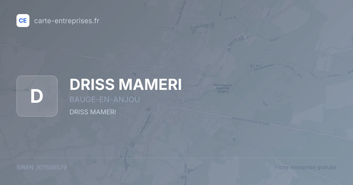 DRISS MAMERI — 307656579 — fiche entreprise