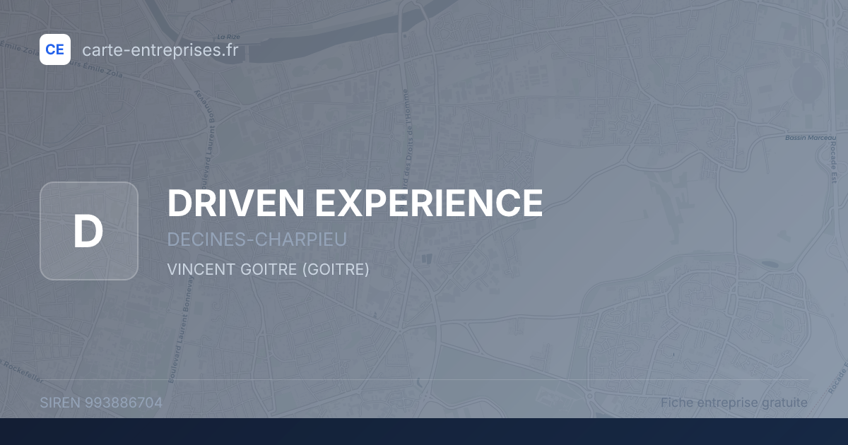 DRIVEN EXPERIENCE — 993886704 — fiche entreprise