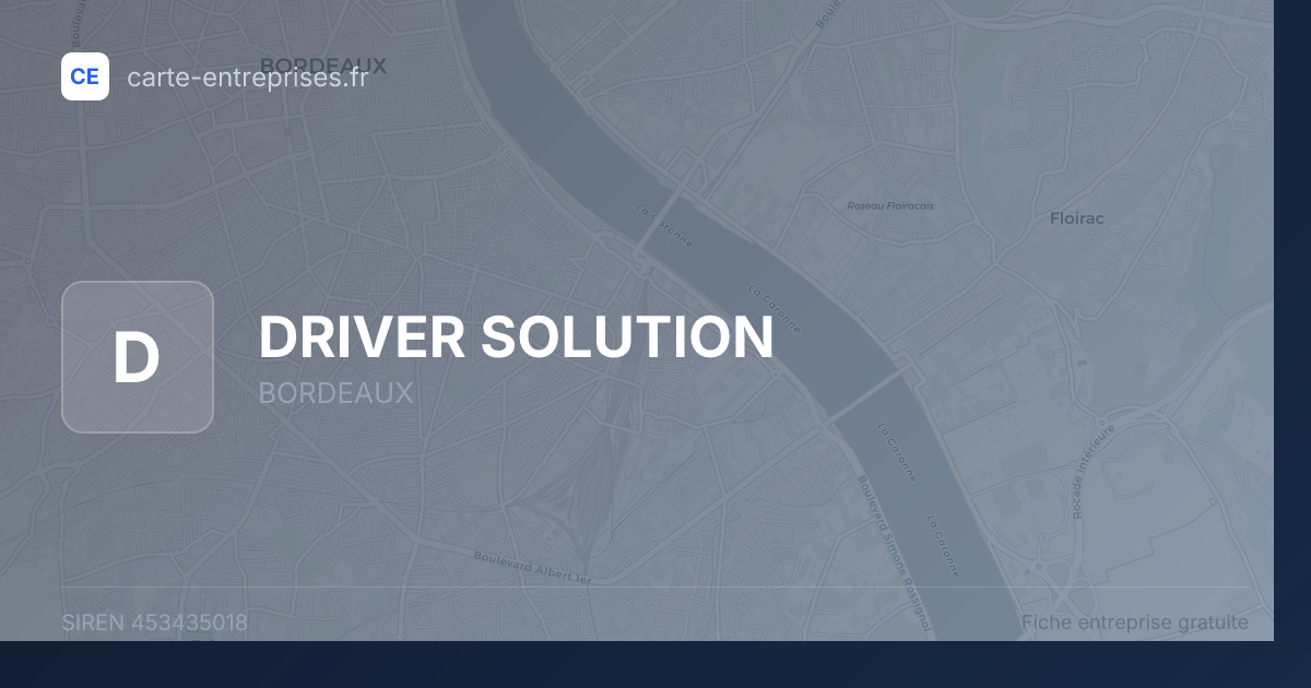 DRIVER SOLUTION — 453435018 — fiche entreprise