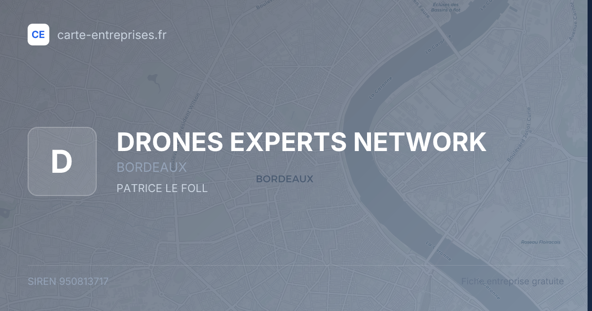 DRONES EXPERTS NETWORK — 950813717 — fiche entreprise