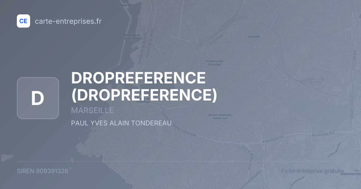 DROPREFERENCE — 909391328 — fiche entreprise