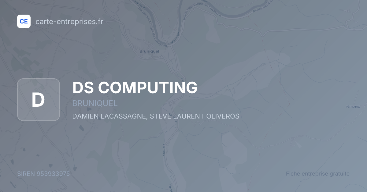 DS COMPUTING — 953933975 — fiche entreprise