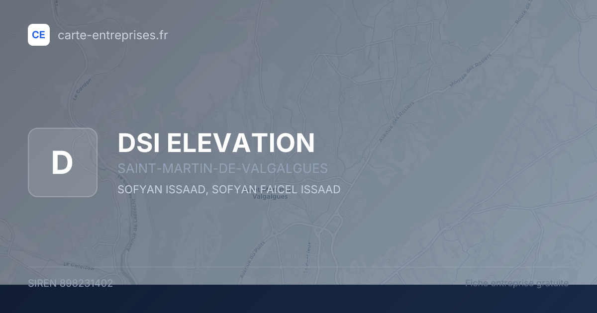 DSI ELEVATION — 898231402 — fiche entreprise