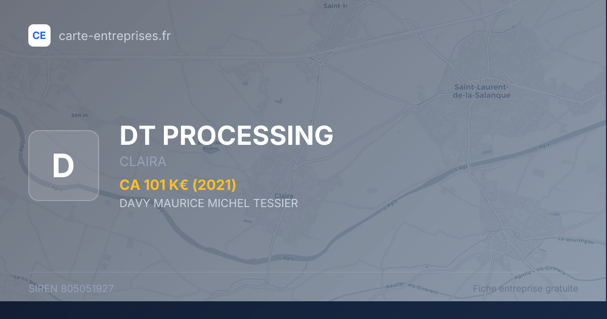 DT PROCESSING — 805051927 — fiche entreprise