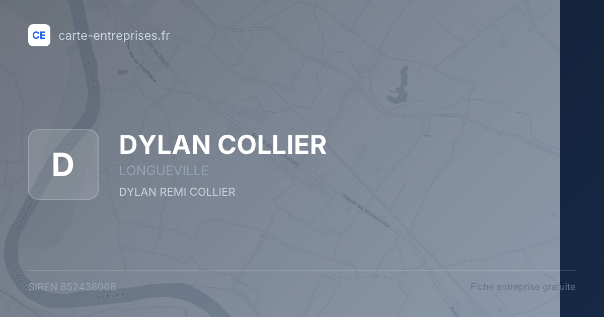 DYLAN COLLIER — 852438068 — fiche entreprise