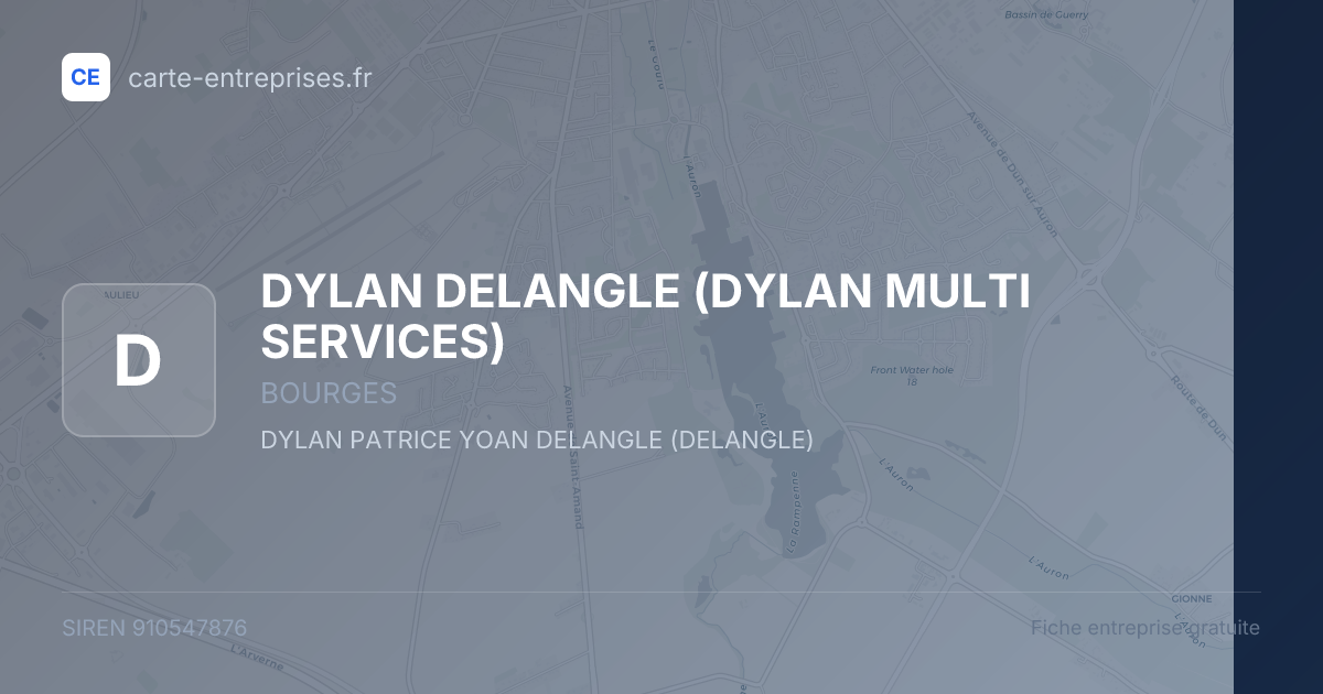 DYLAN DELANGLE (DYLAN MULTI SERVICES) — 910547876 — fiche entreprise