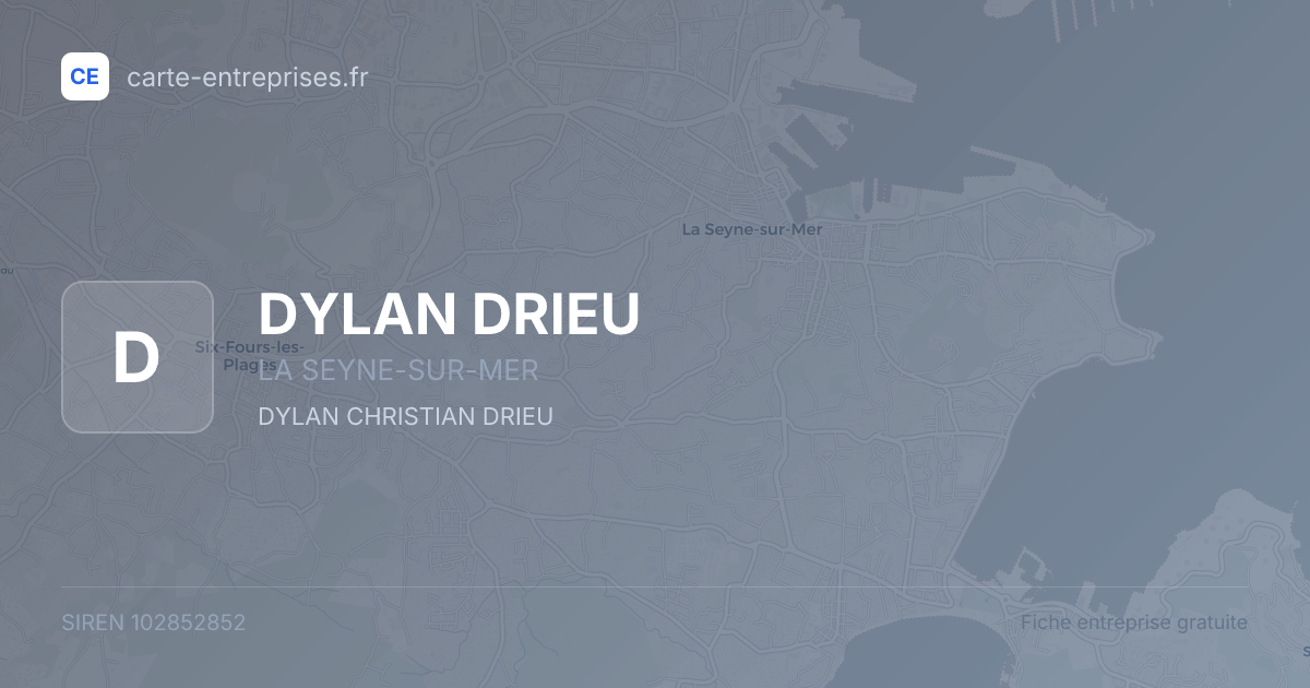 DYLAN DRIEU — 102852852 — fiche entreprise