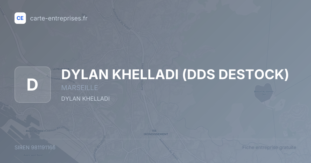 DYLAN KHELLADI (DDS DESTOCK) — 981191166 — fiche entreprise