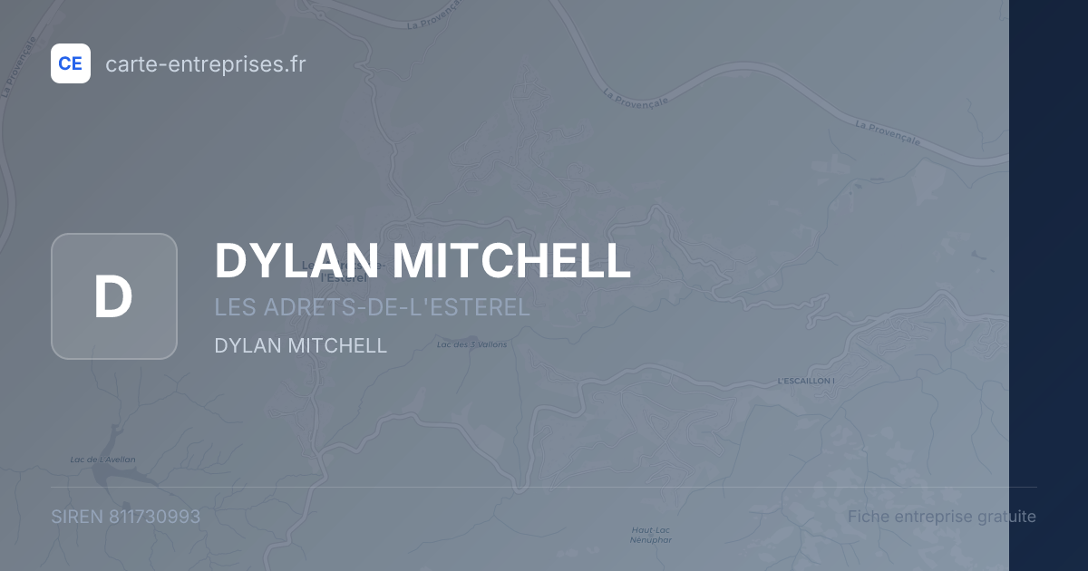 DYLAN MITCHELL — 811730993 — fiche entreprise