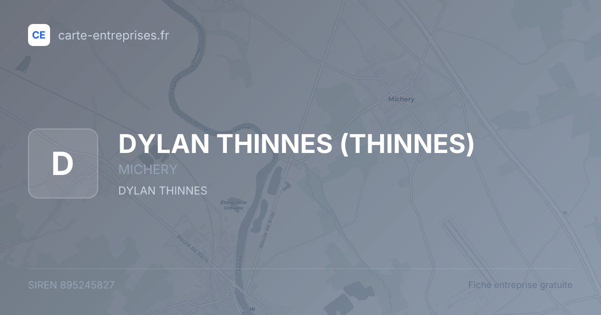 DYLAN THINNES (THINNES) — 895245827 — fiche entreprise