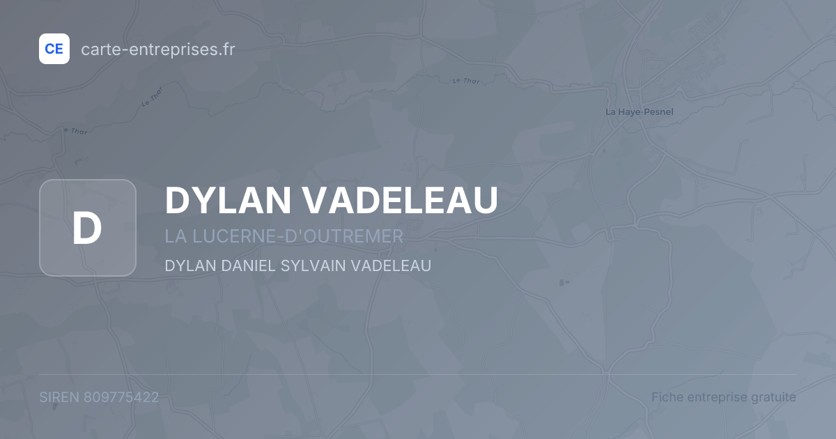 DYLAN VADELEAU — 809775422 — fiche entreprise