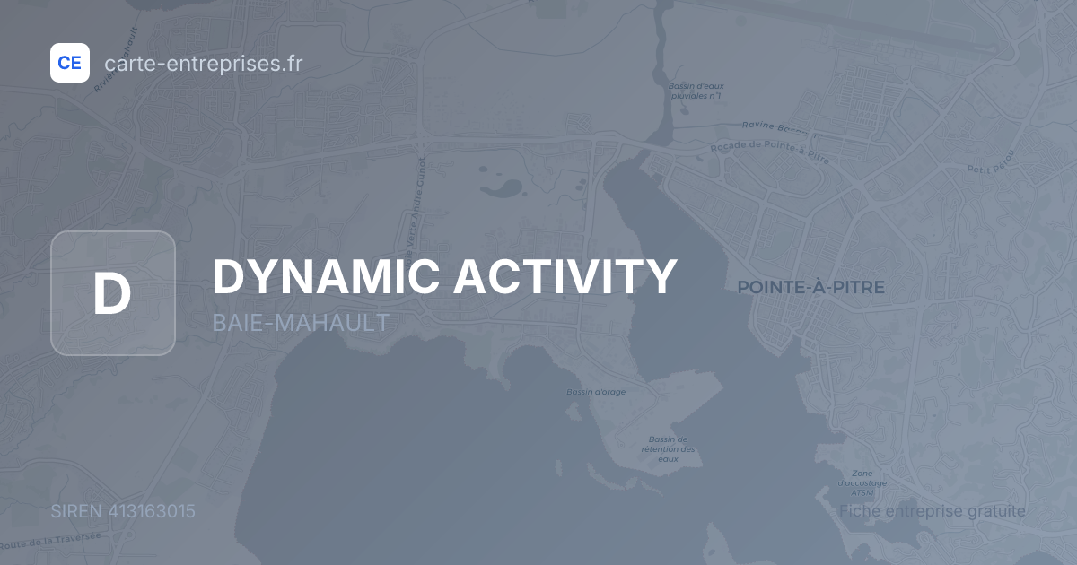 DYNAMIC ACTIVITY — 413163015 — fiche entreprise
