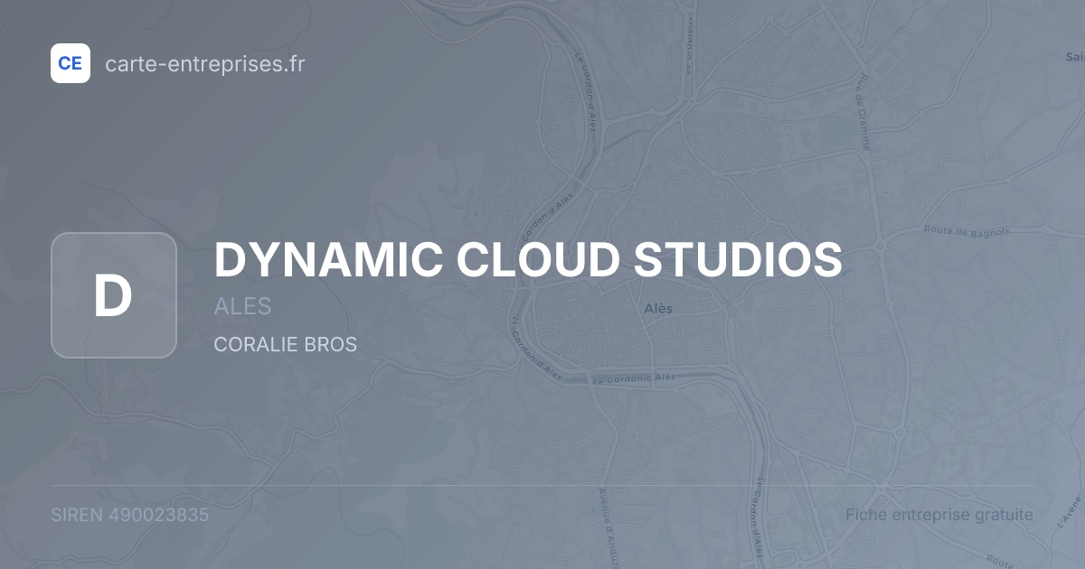 DYNAMIC CLOUD STUDIOS — 490023835 — fiche entreprise