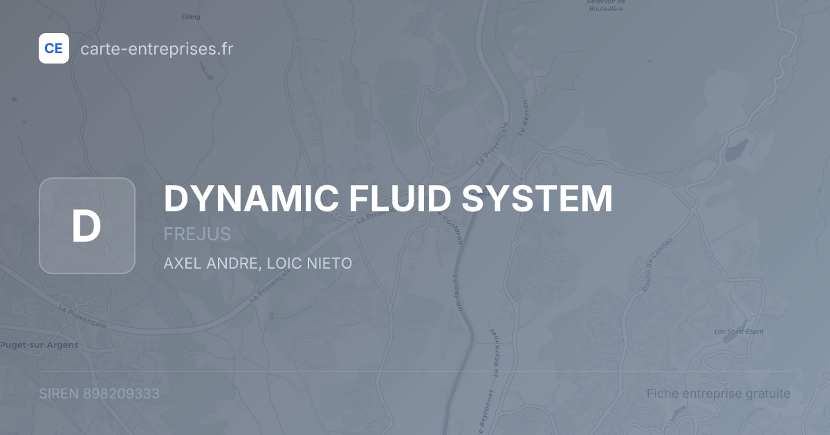 DYNAMIC FLUID SYSTEM — 898209333 — fiche entreprise