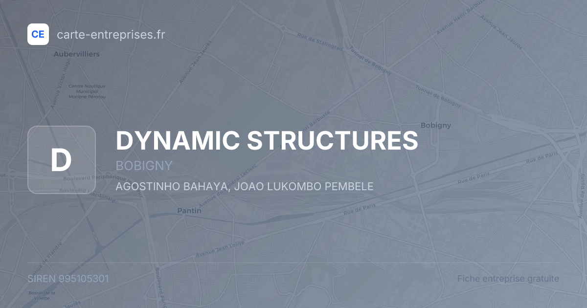 DYNAMIC STRUCTURES — 995105301 — fiche entreprise