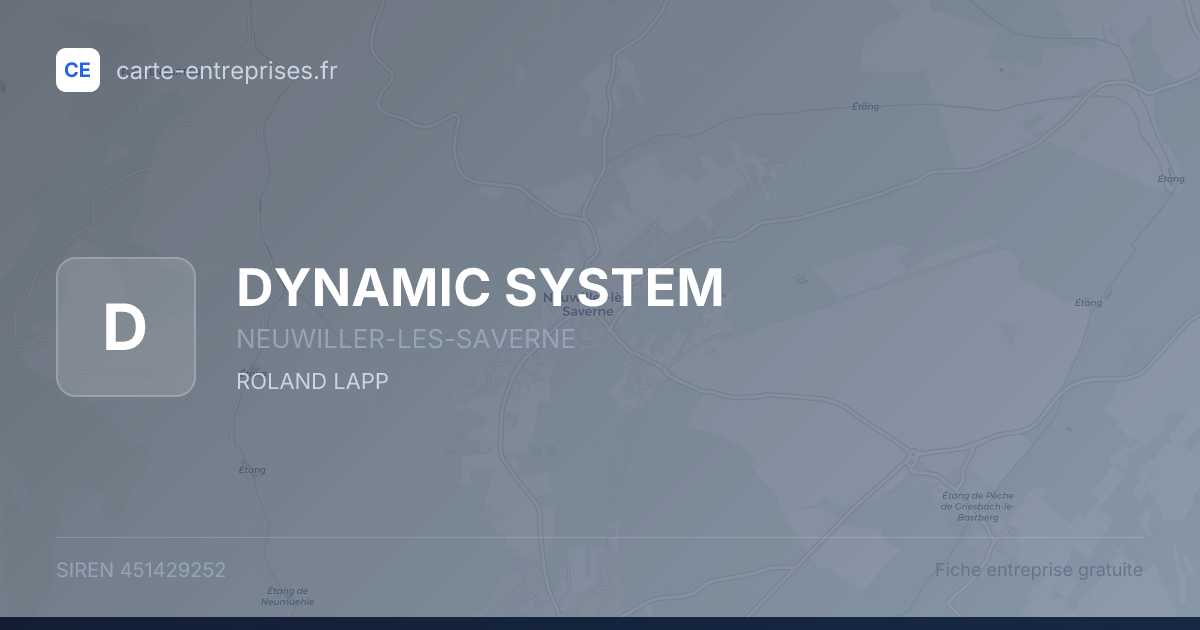 DYNAMIC SYSTEM — 451429252 — fiche entreprise