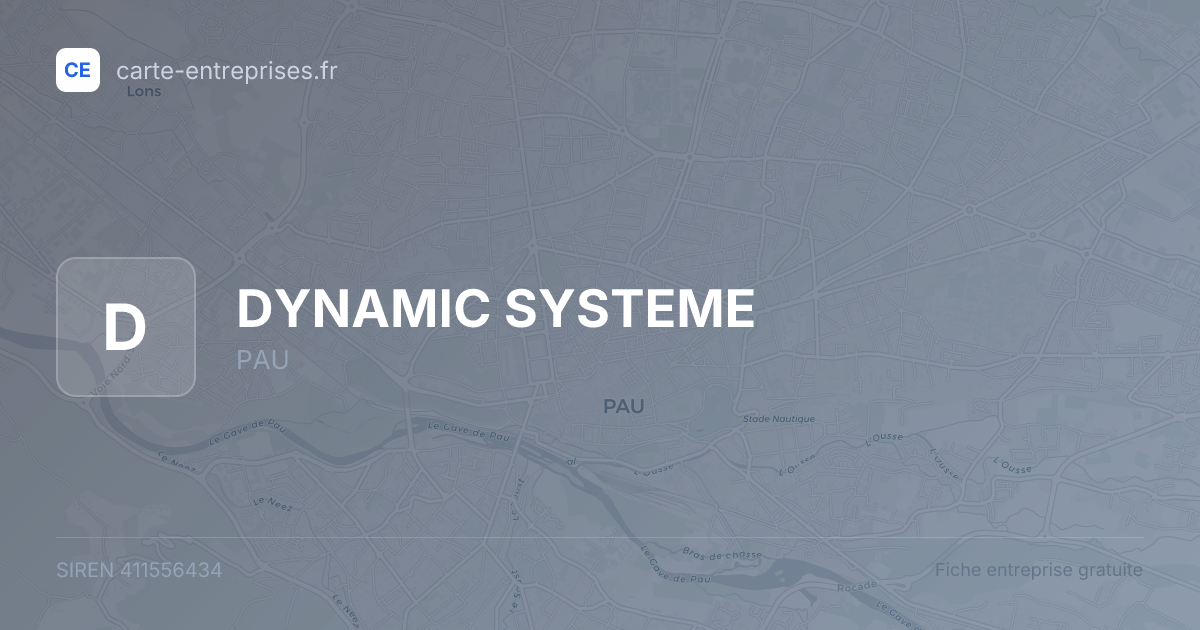 DYNAMIC SYSTEME — 411556434 — fiche entreprise